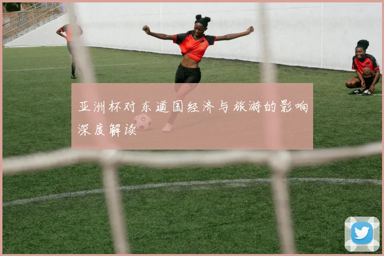 亚洲杯对东道国经济与旅游的影响深度解读